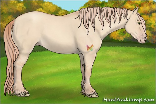 Horse Color:Gold Champagne Dun 