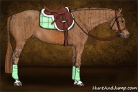 Horse Color:Bay Rabicano and Chestnut