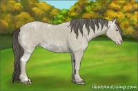 Horse Color:Classic Cream Champagne Ice 