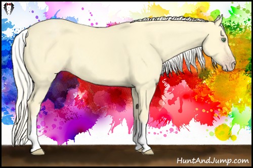 Horse Color:White Spotted Gold Cream Champagne 