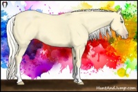 Horse Color:White Spotted Gold Cream Champagne