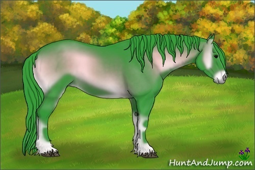 Horse Color:Watercolor Brown Onyx Rabicano