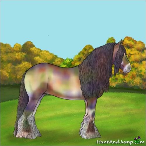 Horse Color:Nacre Bay Onyx 