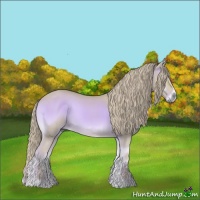 Horse Color:Watercolor Red Onyx