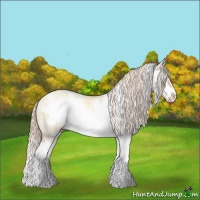 Horse Color:White Spotted Gold Cream Champagne Dun Splash Frame 