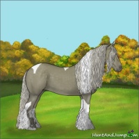 Horse Color:Silver Grullo Tobiano