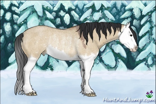 Horse Color:Bay Roan Dun Splash Rabicano