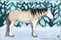 Horse Color:Bay Roan Dun Splash Rabicano 