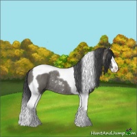 Horse Color:Grullo Sabino Splash Tobiano Rabicano