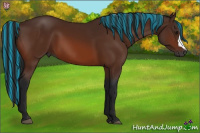 Horse Color:Gray Painted Bay 
