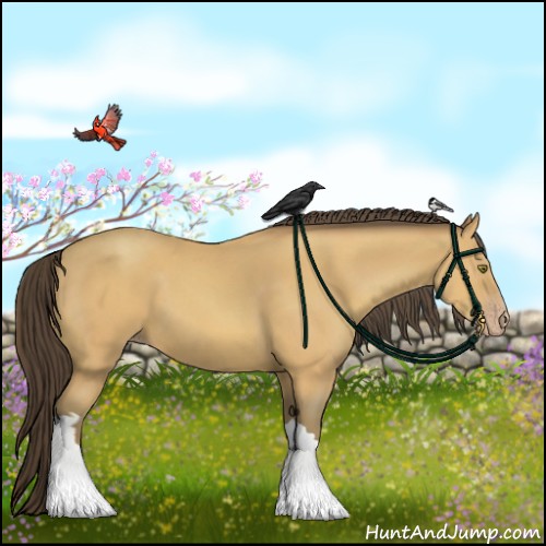 Horse Color:Amber Champagne 