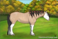 Horse Color:Bay Roan Dun Splash 