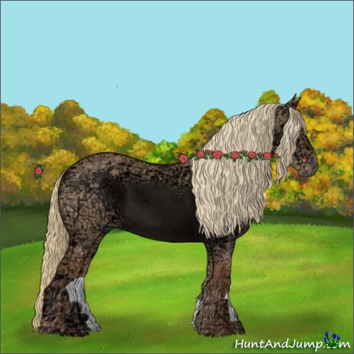 Horse Color:Red Dun Ice