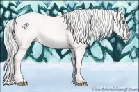 Horse Color:Cremello 