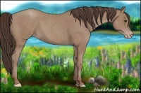 Horse Color:Classic Champagne  and Classic Champagne 