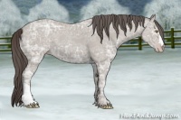 Horse Color:Classic Cream Champagne Ice 