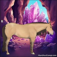 Horse Color:Amber Champagne 