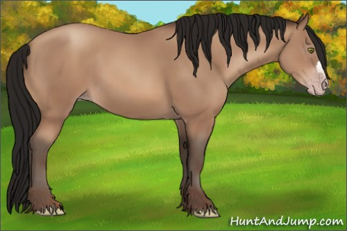 Horse Color:Gray Amber Champagne 