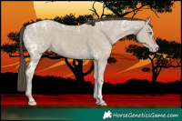 Horse Color:Classic Cream Champagne Ice 