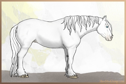 Horse Color:Silver Classic Cream Champagne Pearl 