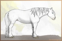 Horse Color:Silver Classic Cream Champagne Pearl 