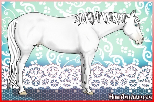 Horse Color:Gold Cream Champagne Pearl 