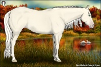 Horse Color:Gold Cream Champagne