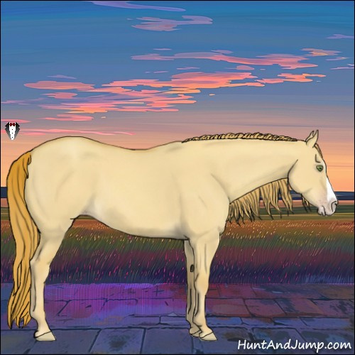 Horse Color:Gold Champagne Dun Splash 