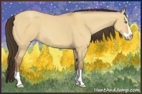 Horse Color:Amber Champagne Dun Splash 