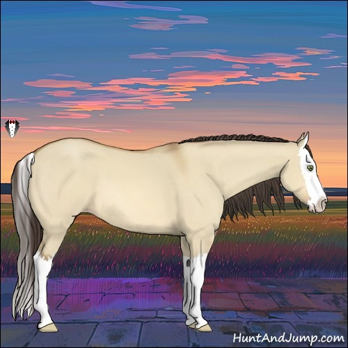 Horse Color:Amber Champagne Dun Splash 