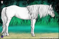 Horse Color:Silver Amber Cream Champagne Pearl 