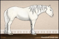 Horse Color:Palomino Pearl 