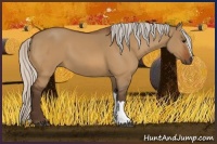 Horse Color:Silver Bay Dun 