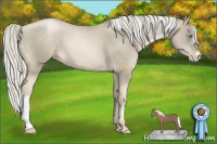 Horse Color:Chocolate Palomino Pearl