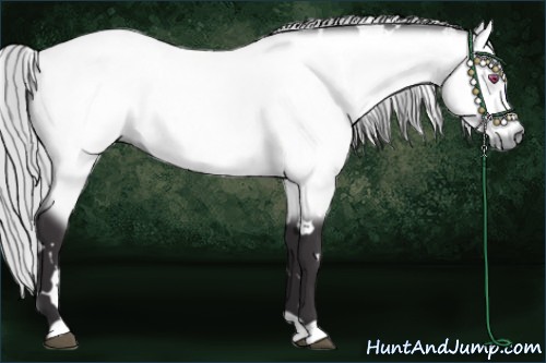 Horse Color:White Spotted Silver Buckskin Chinchilla 