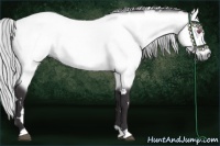 Horse Color:White Spotted Silver Buckskin Chinchilla 