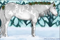 Horse Color:White Spotted Silver Bay Chinchilla 