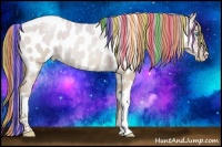 Horse Color:Painted Watercolor Classic Champagne Roan Pearl Dun Tobiano Appaloosa Rabicano 