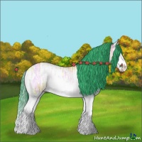 Horse Color:Watercolor Bay Ice Onyx Splash Rabicano