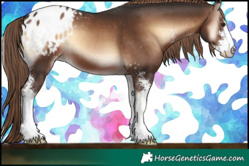 Horse Color:Liver Red Onyx Sabino Blanket