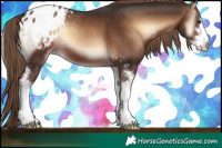 Horse Color:Liver Red Onyx Sabino Blanket 