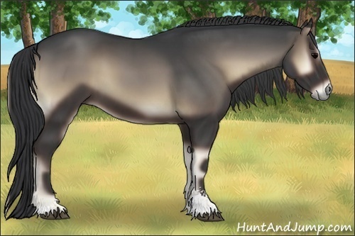 Horse Color:Blue Onyx Sabino