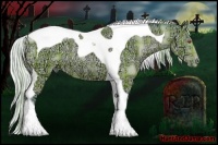 Horse Color:Watercolor Plaid Silver Black Chinchilla Ice Pearl Tobiano
