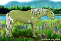 Horse Color:Watercolor White Spotted Silver Brown 