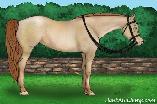 Horse Color:Smoky Black Pearl 
