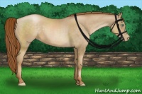 Horse Color:Smoky Black Pearl 
