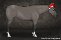 Horse Color:Grullo 