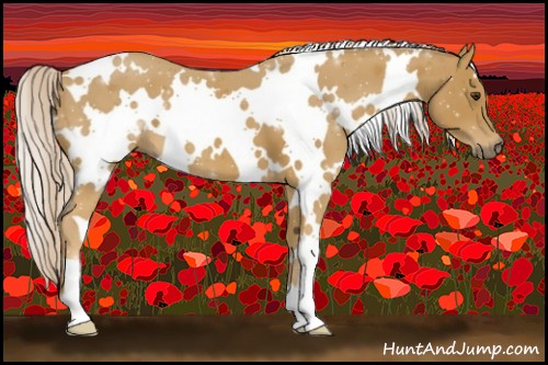 Horse Color:White Spotted Palomino 