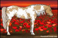 Horse Color:White Spotted Palomino 