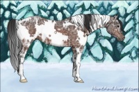 Horse Color:White Spotted Brown Ice